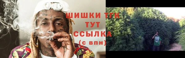 соль ск Сосновка