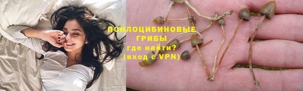 стафф Струнино
