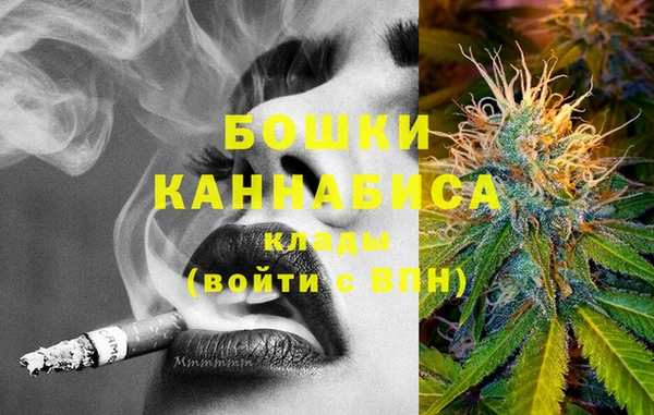стафф Струнино