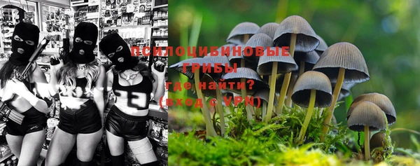 хмурый Ступино