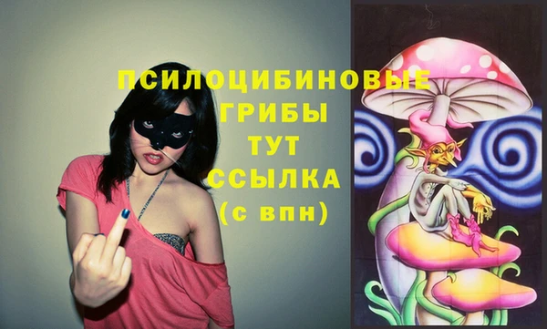 тгк Сосновый Бор