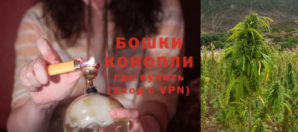 хмурый Ступино