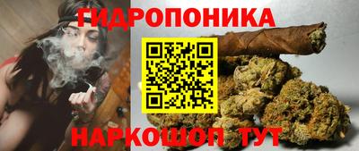 apvp Жуковский