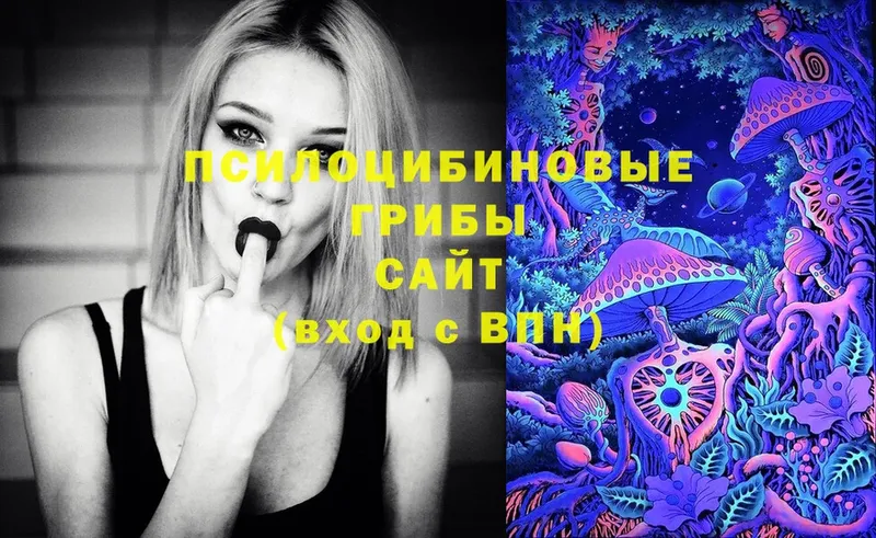 Галлюциногенные грибы Cubensis  Красногорск 