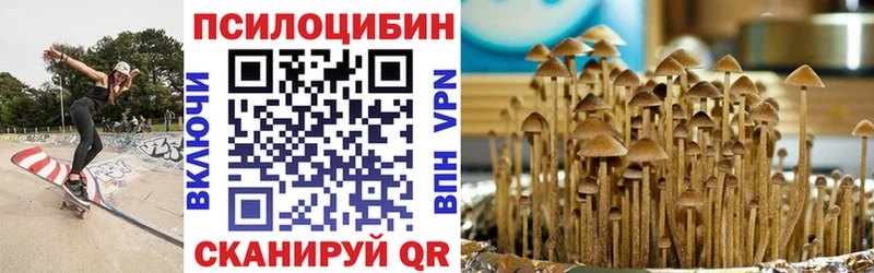 мориарти состав  Красногорск  Псилоцибиновые грибы прущие грибы  что такое  