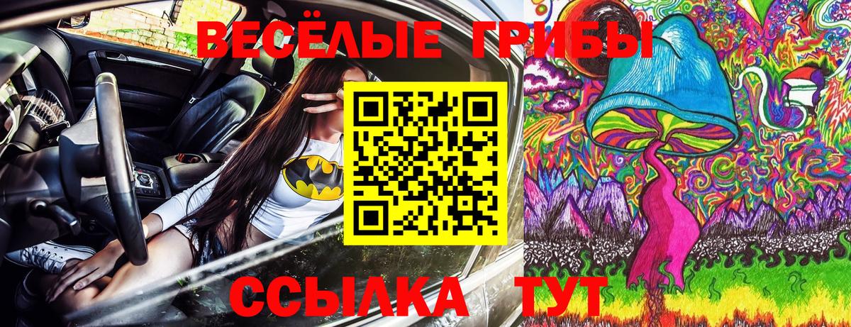 Псилоцибиновые грибы ЛСД  где продают   Красногорск  Вход с VPN 