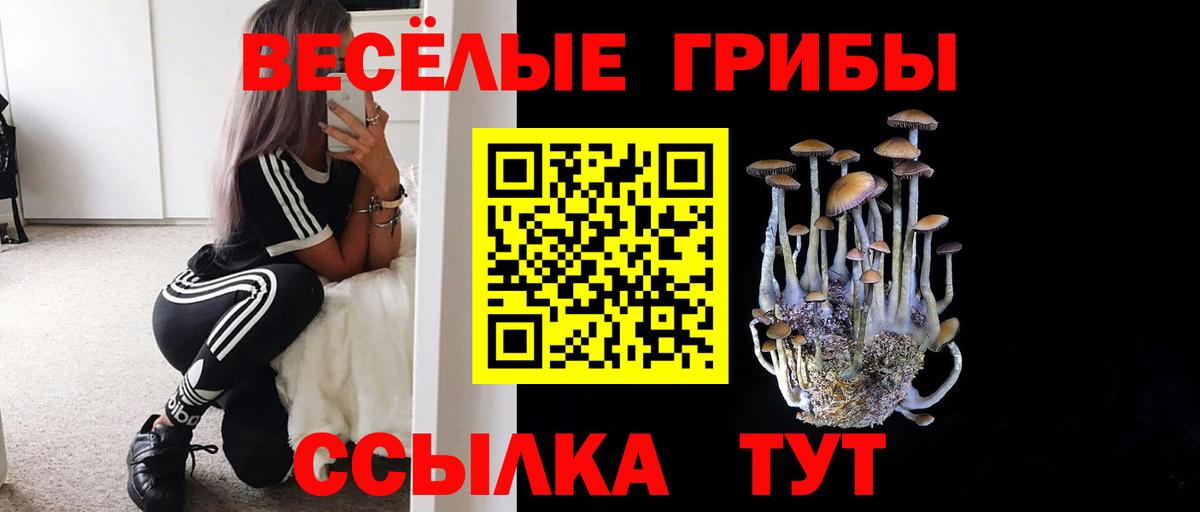 Псилоцибиновые грибы Magic Shrooms Красногорск