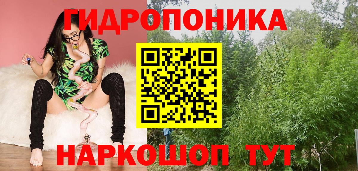 Каннабис план  Вход с VPN  Канабис THC 21%  Красногорск 